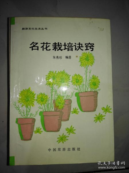 孔夫子舊書網(wǎng)的西域之夢 文化傳播中的數(shù)據(jù)守望與美學(xué)思考